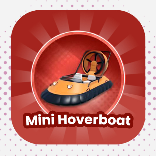 Mini Hoverboat